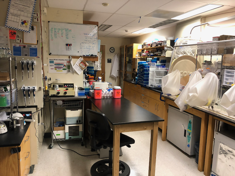 Our lab.
