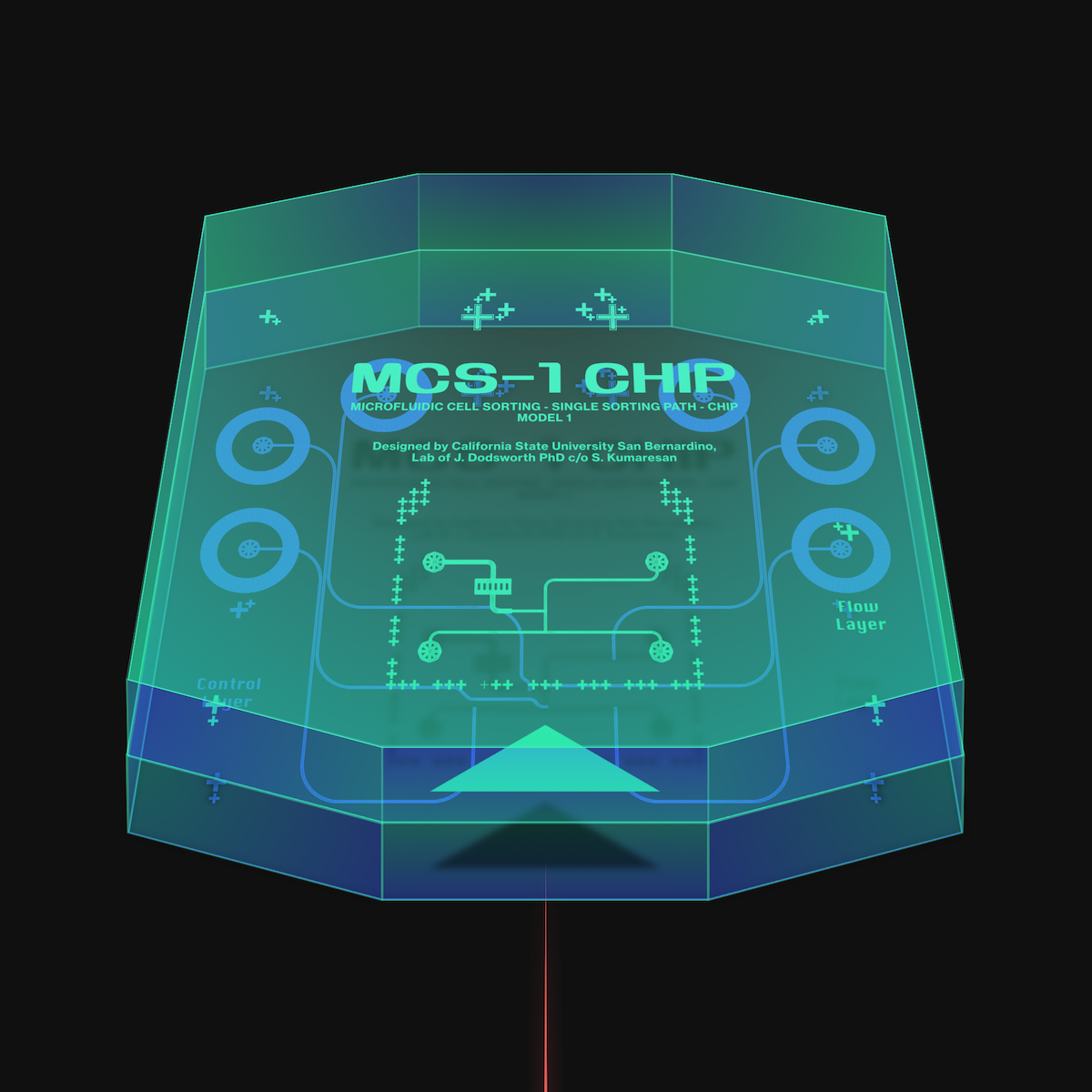 My microfluidic chip