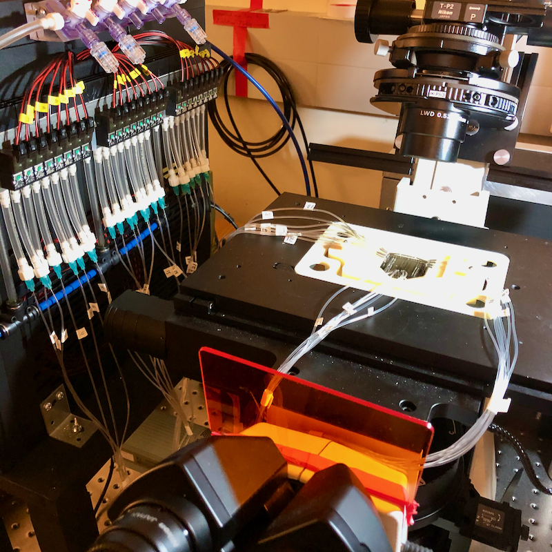 Cell-sorting system.